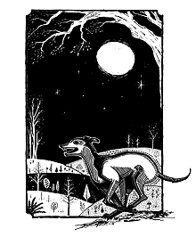 Winter Night Sky - Designed in Illustrator