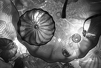Blown glass - Chilulily Exhibit